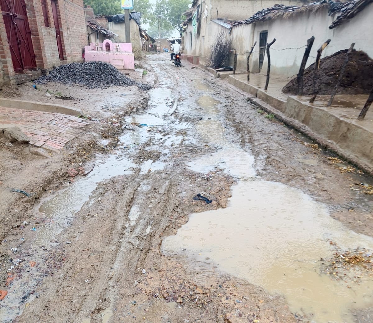 तिंदवारी कस्बे के शंकर नगर मोहल्ले में जलभराव के बीच निकला बुजुर्ग। संवाद