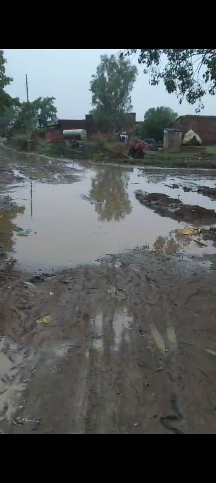 तिंदवारी कस्बे के शंकर नगर मोहल्ले में जलभराव के बीच निकला बुजुर्ग। संवाद