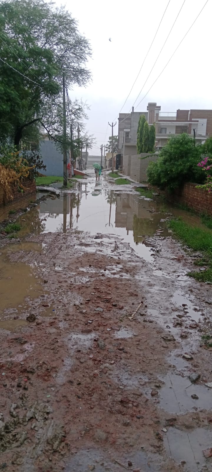 वार्ड नंबर 13 की गली में जमा गंदा पानी और कीचड़ वार्ड नंबर 13 की गली में जमा गंदा पानी और कीचड़