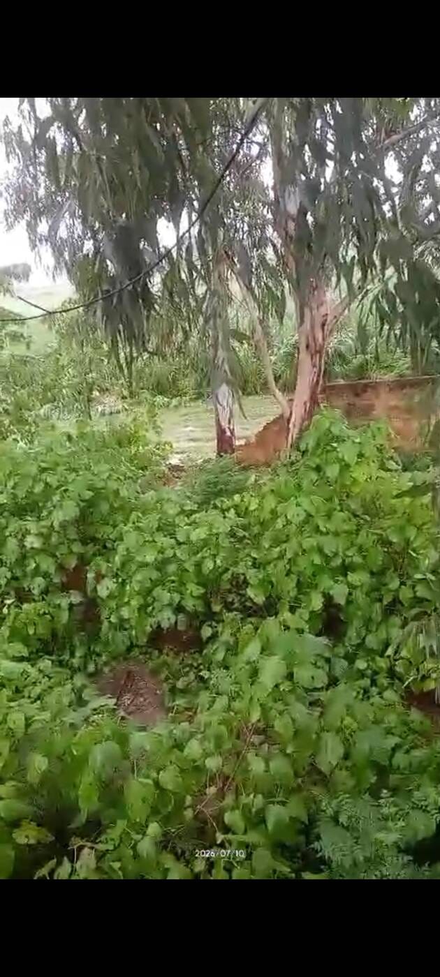 बहसूमा। मोहल्ला गुर्जरों वाले में अलका के मकान की गिरी छत को दिखाते भाई उमाशंकर बहसूमा। मोहल्ला गुर्जरों वाले में अलका के मकान की गिरी छत को दिखाते भाई उमाशंकर