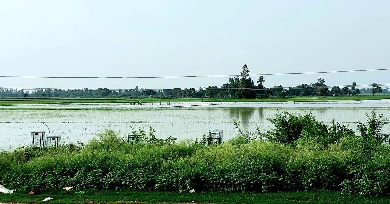 मोहल्ला हिदायत नगर में कुछ इस तरह काफी नीचे तक लटक रहे बिजली के तार। संवाद