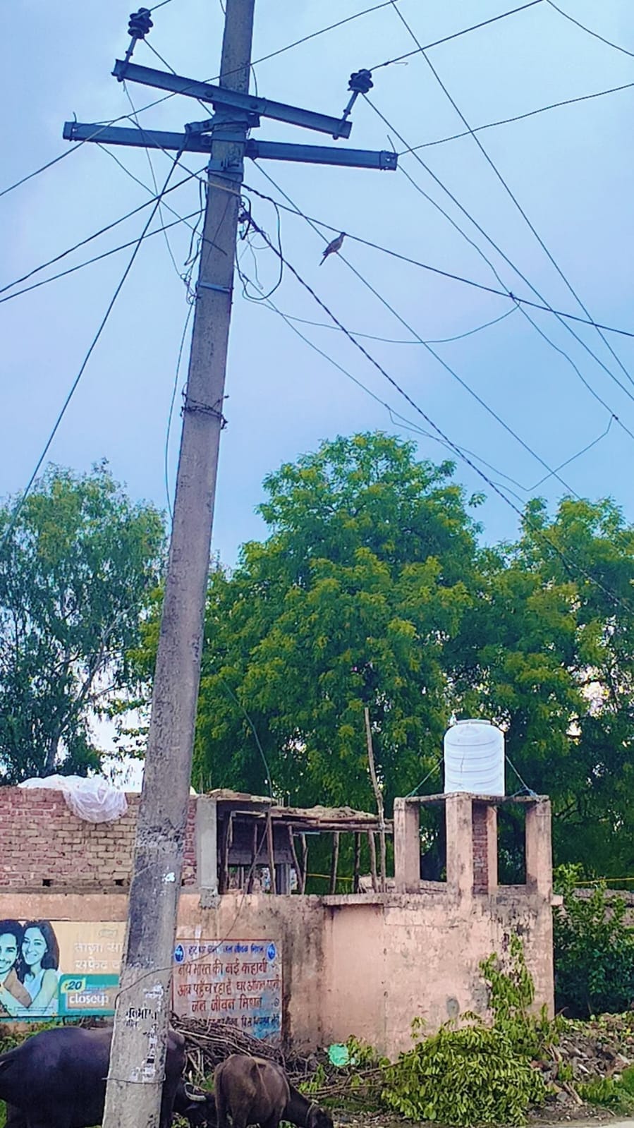 मोहल्ला हिदायत नगर में कुछ इस तरह काफी नीचे तक लटक रहे बिजली के तार। संवाद