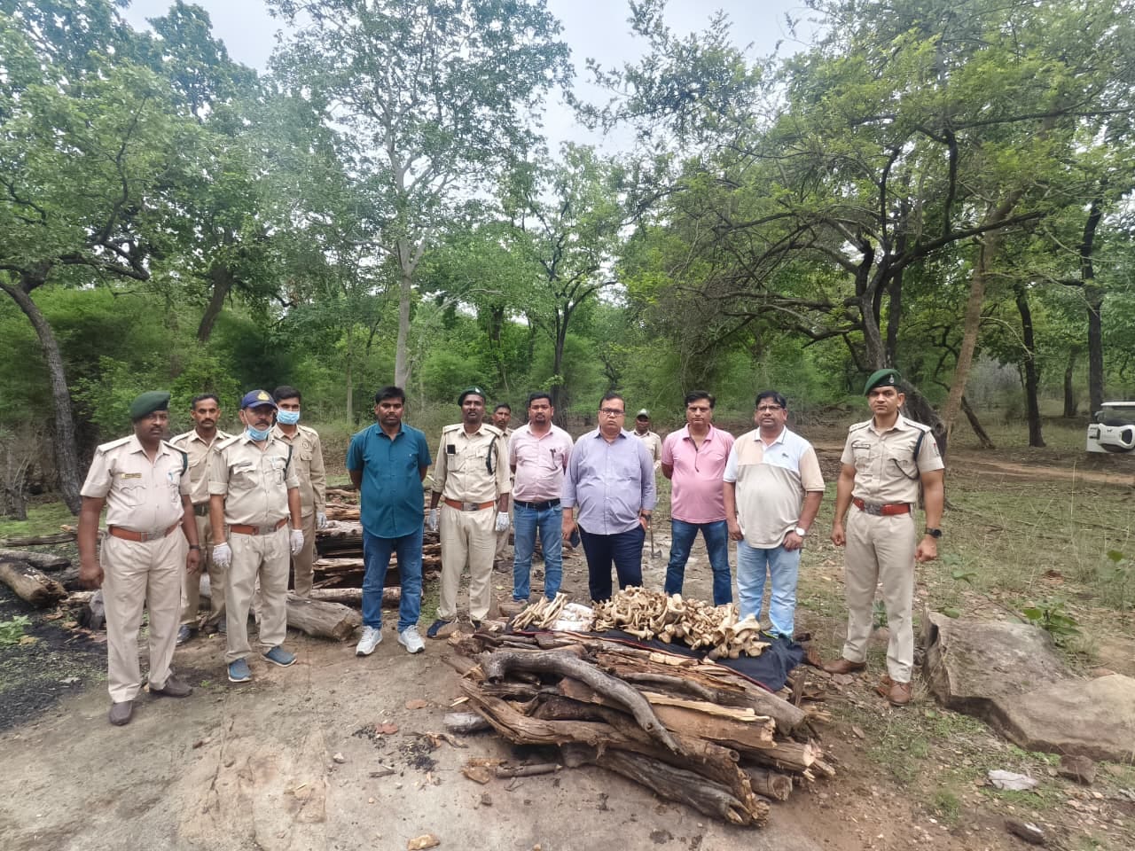 मानसूनी गश्त में मिला रहस्यमयी कंकाल, बांधवगढ़ में बाघ होने की आशंका, NTCA प्रोटोकॉल के तहत हुई मानसूनी गश्त में मिला रहस्यमयी कंकाल, बांधवगढ़ में बाघ होने की आशंका, NTCA प्रोटोकॉल के तहत हुई