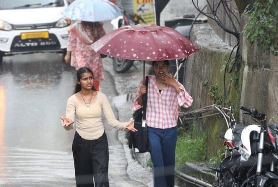 धर्मशाला में झमाझम बारिश के बीच लोग छाते का सहारा लेकर अपने गंतव्य तक पहुंचे। तेज बरसात से सड़क धर्मशाला में झमाझम बारिश के बीच लोग छाते का सहारा लेकर अपने गंतव्य तक पहुंचे। तेज बरसात से सड़क