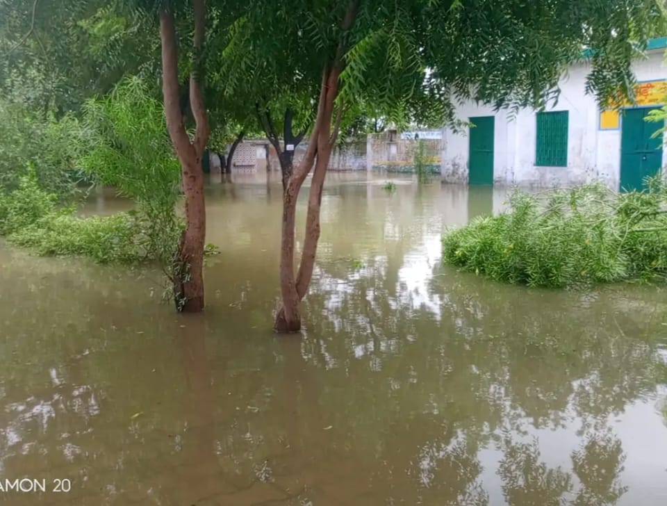 बाह: हिंगोटखेडा गांव में जलमग्न रास्ते से स्कूल पहुंचे बच्चे और शिक्षक