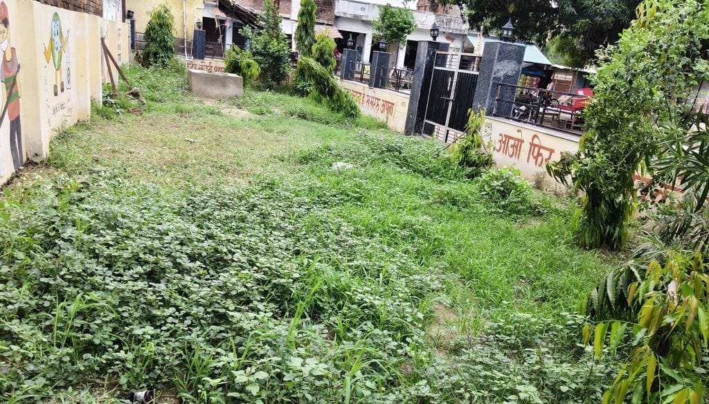 फोटो-03- साफ सफाई के अभाव में पार्क में उगी घास। संवाद फोटो-03- साफ सफाई के अभाव में पार्क में उगी घास। संवाद