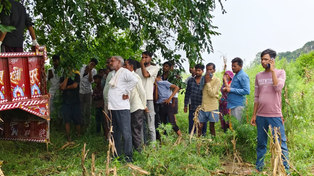 फोटो-5 राजू। फाइल फोटो फोटो-5 राजू। फाइल फोटो