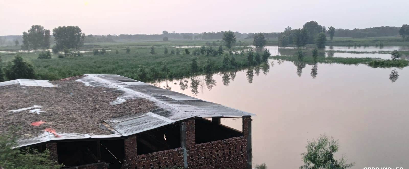 सरधना। हिंडन नदी का जलस्तर बढ़ने से जलमग्न हुई फसलें। ग्रामीण सरधना। हिंडन नदी का जलस्तर बढ़ने से जलमग्न हुई फसलें। ग्रामीण