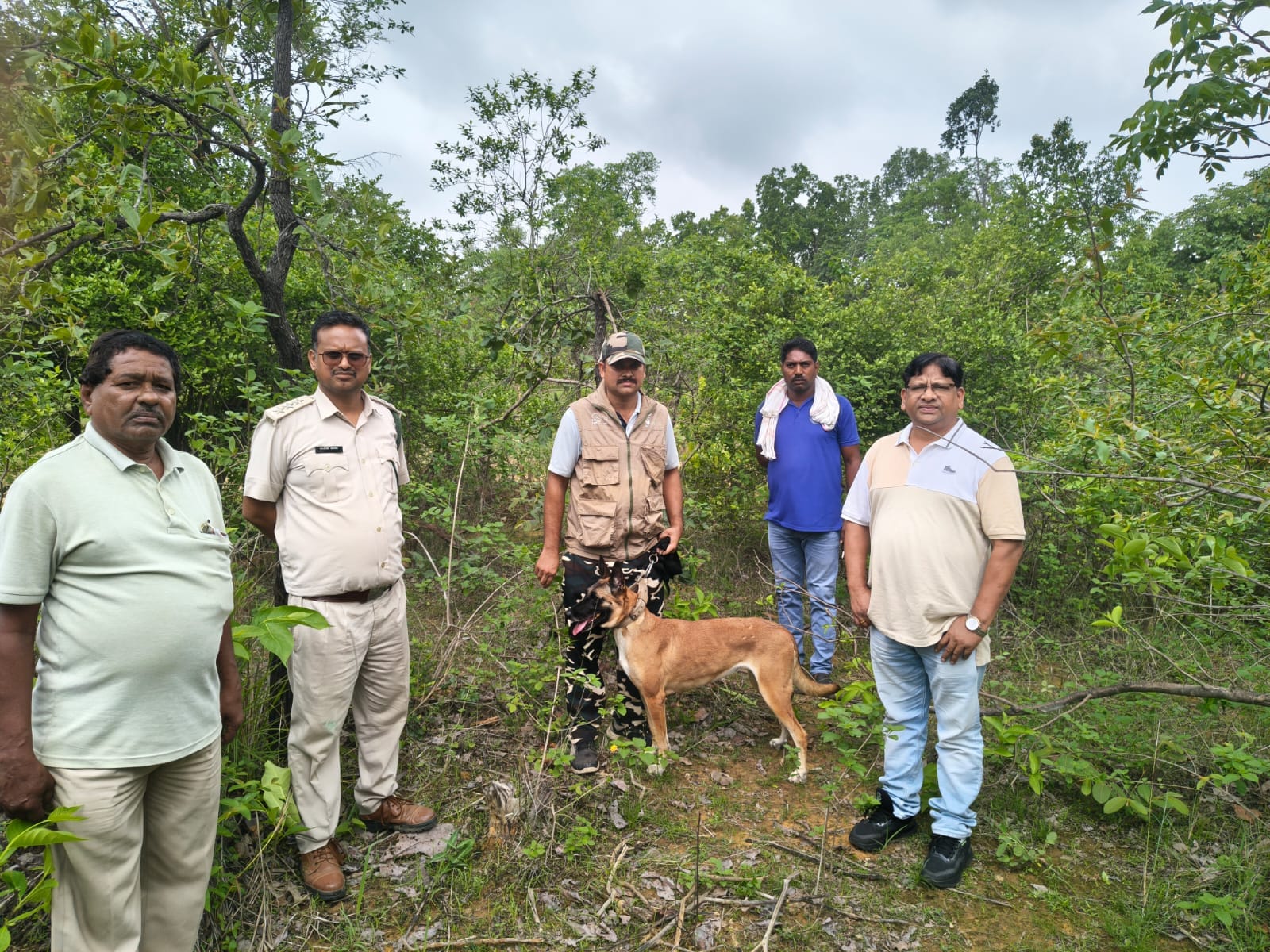 15 दिन बाद सुरक्षित मिली कॉलर वाली बाघिन