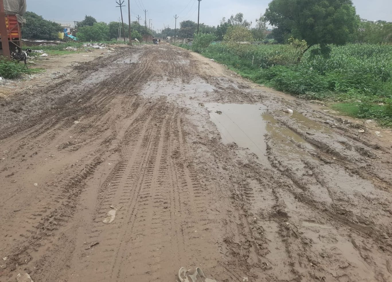ककरा स्थित ई-चार्जिंग स्टेशन पर खड़ीं ई-बसें। संवाद ककरा स्थित ई-चार्जिंग स्टेशन पर खड़ीं ई-बसें। संवाद