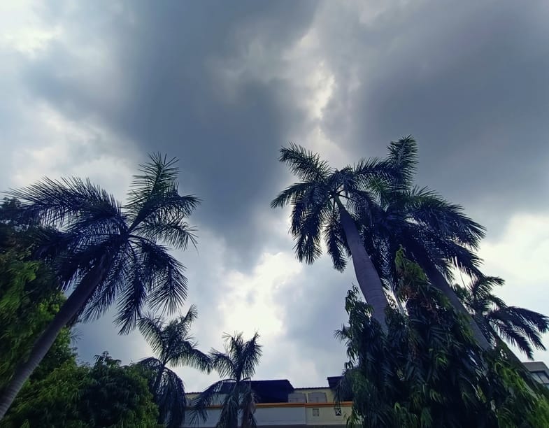 राजधानी में शनिवार को काले बादल छाए रहे। 