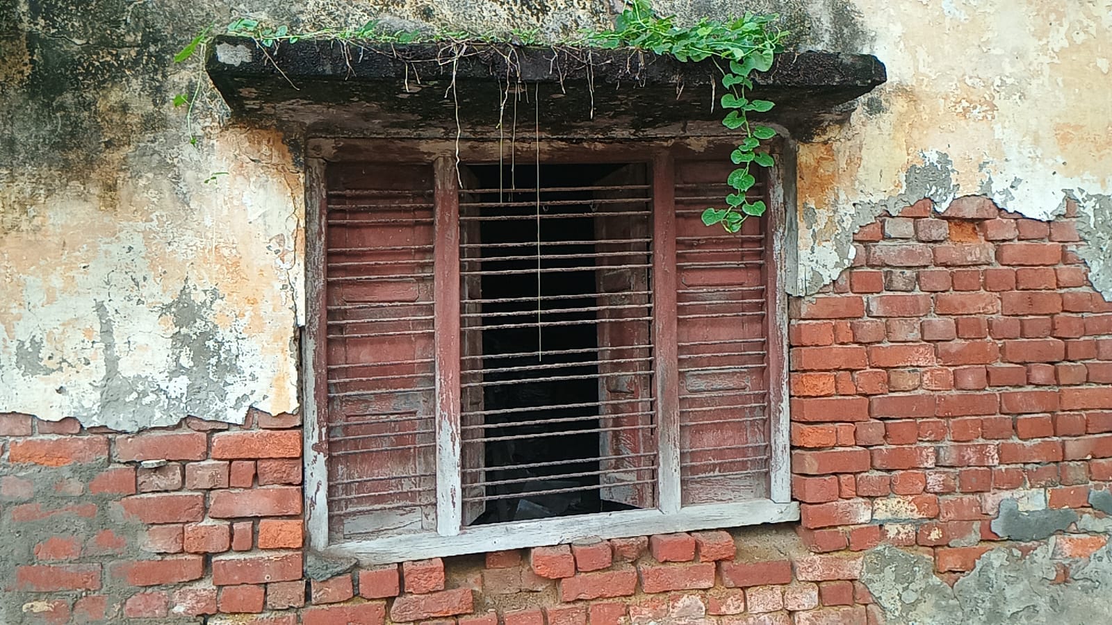 सिगेंरा गांव स्थित जर्जर पशु सेवा केंद्र। संवाद सिगेंरा गांव स्थित जर्जर पशु सेवा केंद्र। संवाद