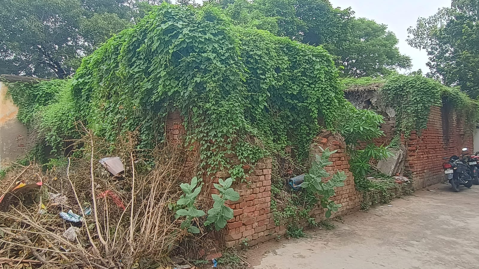 सिगेंरा गांव स्थित जर्जर पशु सेवा केंद्र। संवाद सिगेंरा गांव स्थित जर्जर पशु सेवा केंद्र। संवाद