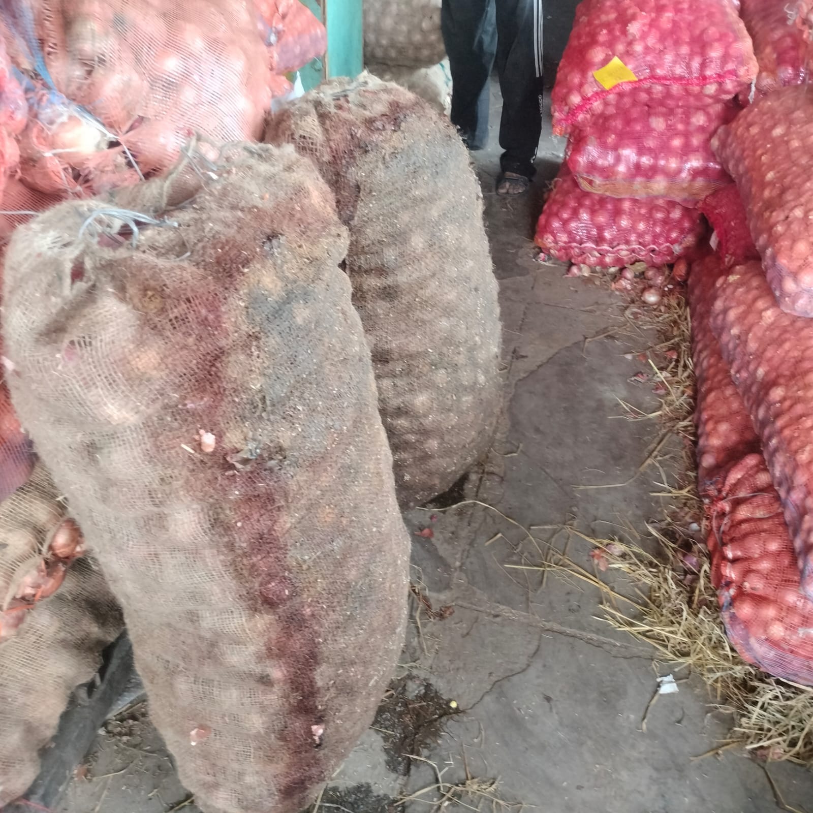 साहिबाबाद सब्जी मंडी में बारिश में खराब हुआ प्याज और खीरा। संवाद