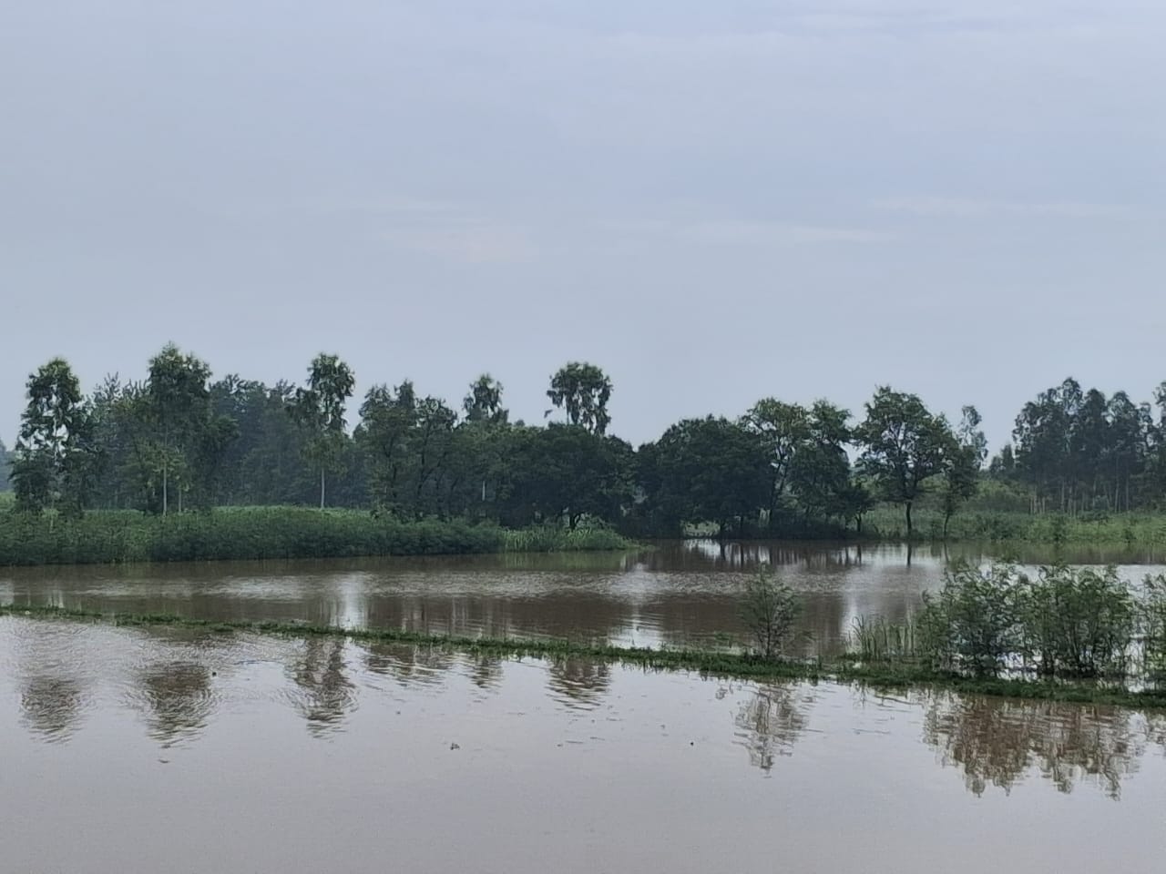 शेरकोट के ग्राम भनोटी में खेतों में भरा पानी स्रोत ग्रामीण शेरकोट के ग्राम भनोटी में खेतों में भरा पानी स्रोत ग्रामीण