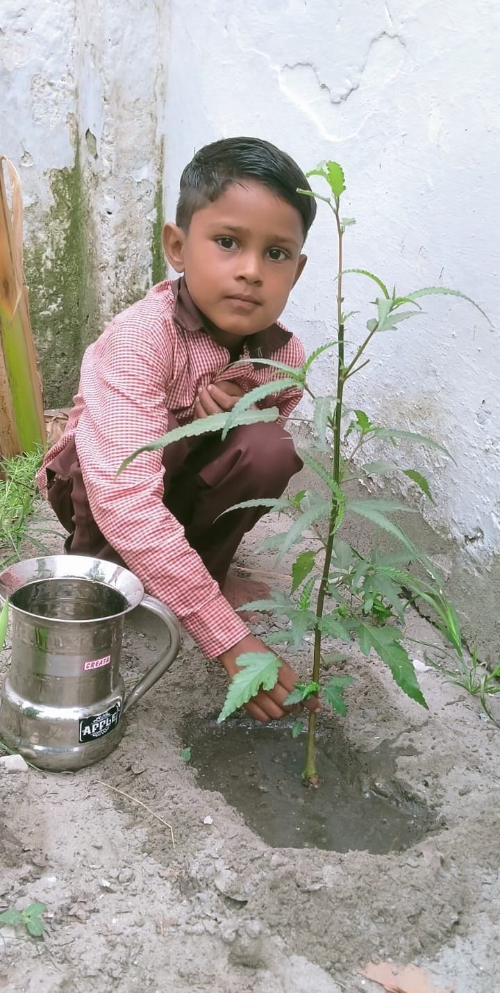 एमजीपी कॉलेज में पौधारोपण करते पूर्व राज्यमंत्री विमलकृष्ण अग्रवाल। संवाद एमजीपी कॉलेज में पौधारोपण करते पूर्व राज्यमंत्री विमलकृष्ण अग्रवाल। संवाद