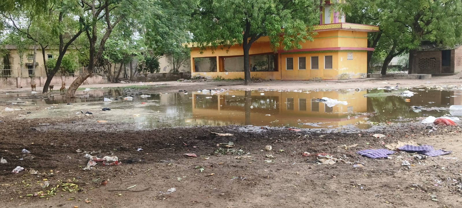 मंडी में धरना स्थल पर बैठे गल्ला कारोबारी। संवाद मंडी में धरना स्थल पर बैठे गल्ला कारोबारी। संवाद