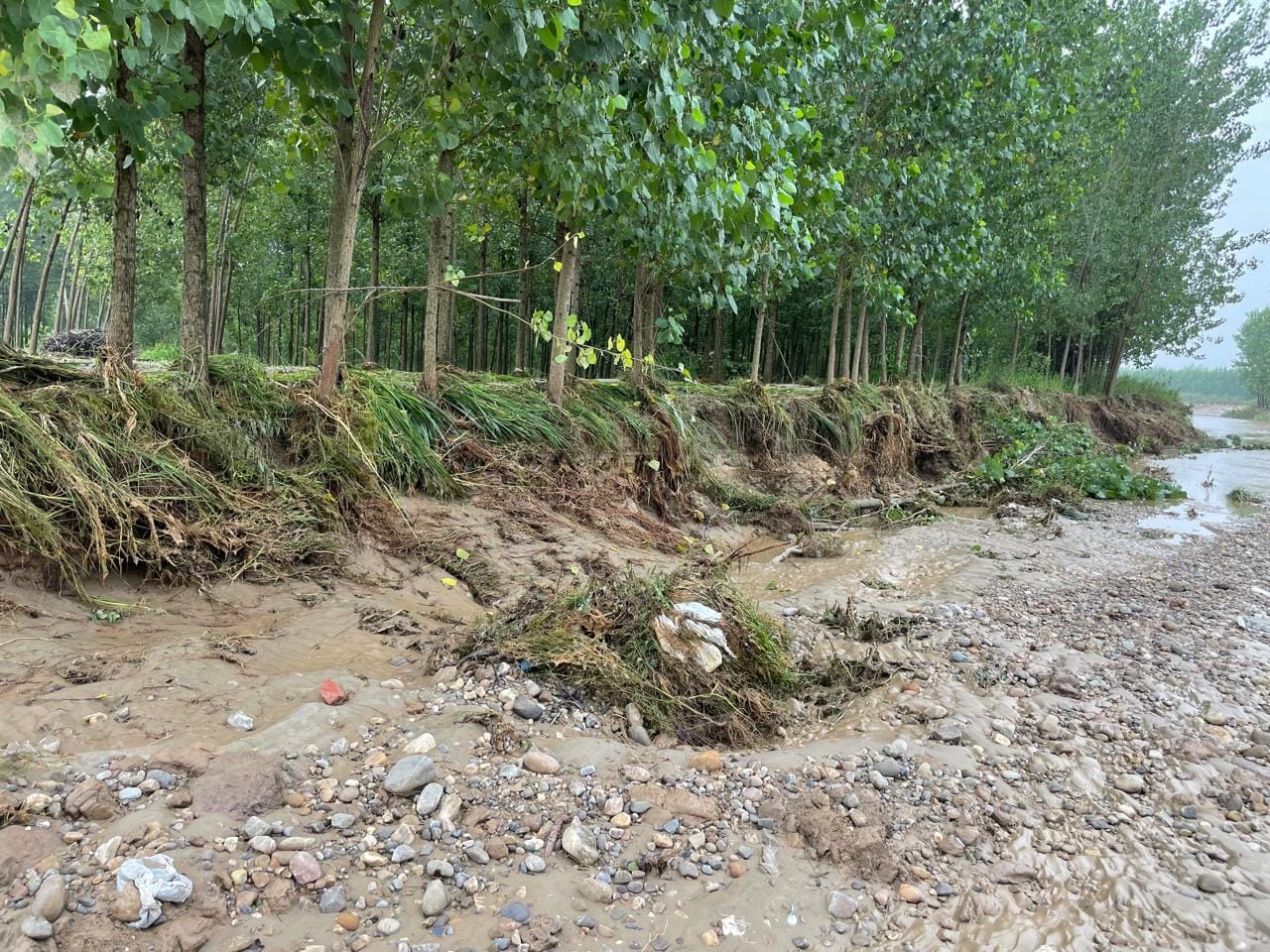 पथराला नदी में बारिश का पानी आने से खेतों में हुआ भूमि कटाव। किसान पथराला नदी में बारिश का पानी आने से खेतों में हुआ भूमि कटाव। किसान