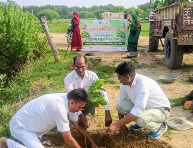 दीवानी न्यायालय परिसर में पौधे को पानी देतीं जिला जल। स्रोत - सूचना विभा दीवानी न्यायालय परिसर में पौधे को पानी देतीं जिला जल। स्रोत - सूचना विभा