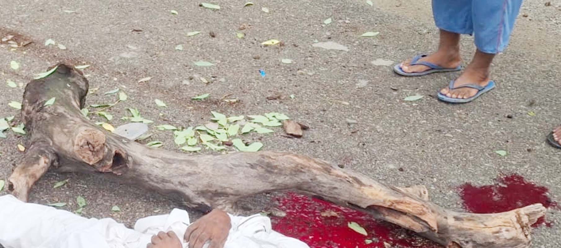 ऊचौलिया के गांव सिसोरा सहमद निवासी अरशद खां का फाइल फोटो। स्रोत : परिजन