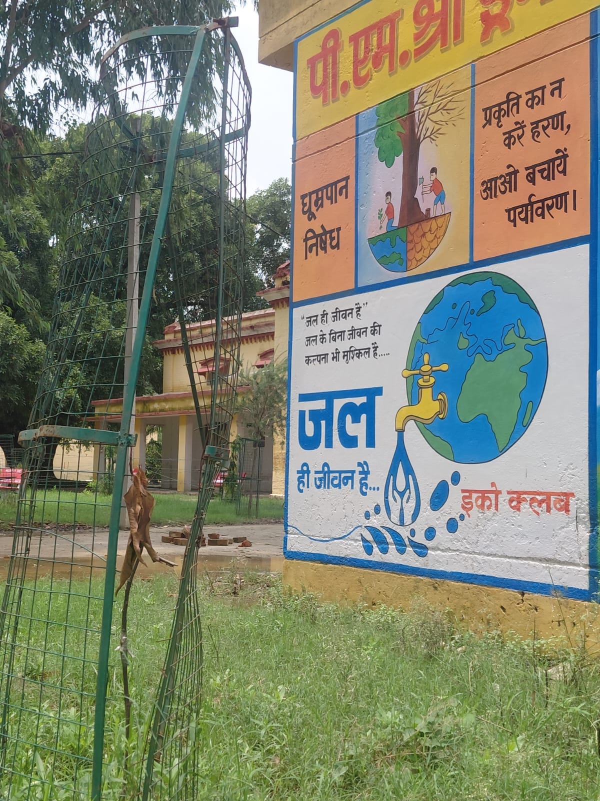 कलेक्ट्रेट परिसर में ट्री गार्ड में लगाए गए पेड़। संवाद