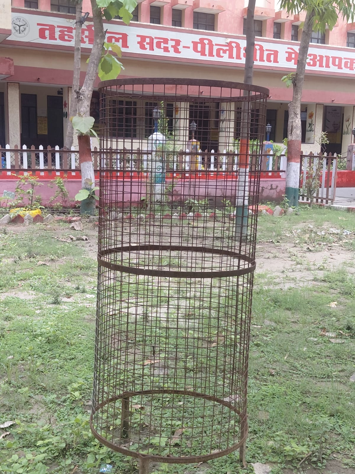 कलेक्ट्रेट परिसर में ट्री गार्ड में लगाए गए पेड़। संवाद