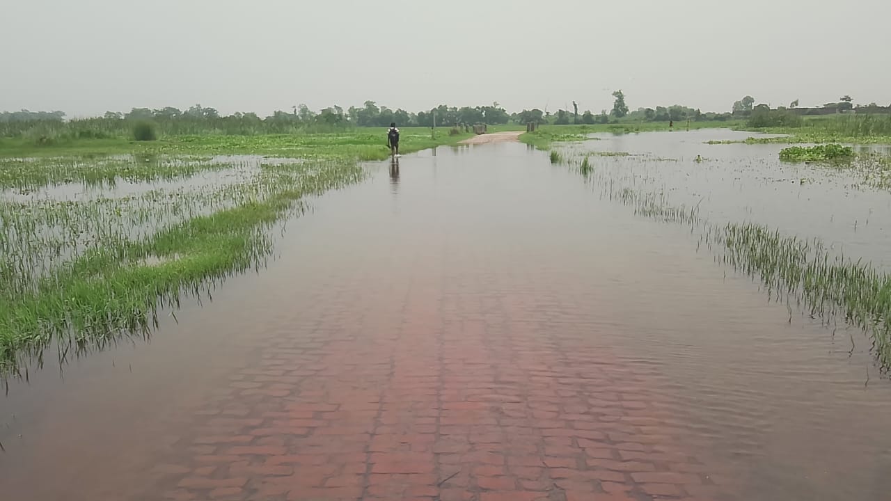 ग्राम देवरी में बीचो-बीच सड़क पर भरा गंदा पानी छाया। संवाद ग्राम देवरी में बीचो-बीच सड़क पर भरा गंदा पानी छाया। संवाद