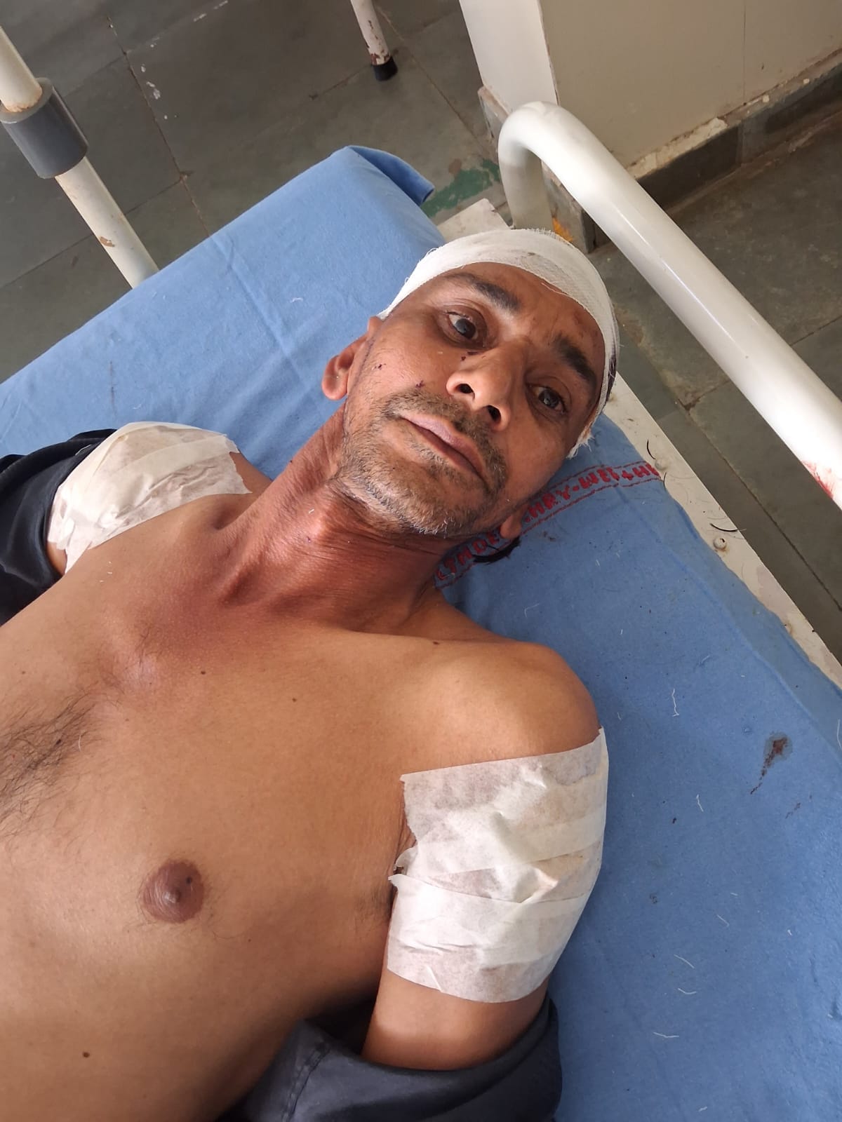 कोसली-टूमना रोड पर पेड़ से टकराई निजी बस। स्रोत: वीडियो ग्रैब कोसली-टूमना रोड पर पेड़ से टकराई निजी बस। स्रोत: वीडियो ग्रैब