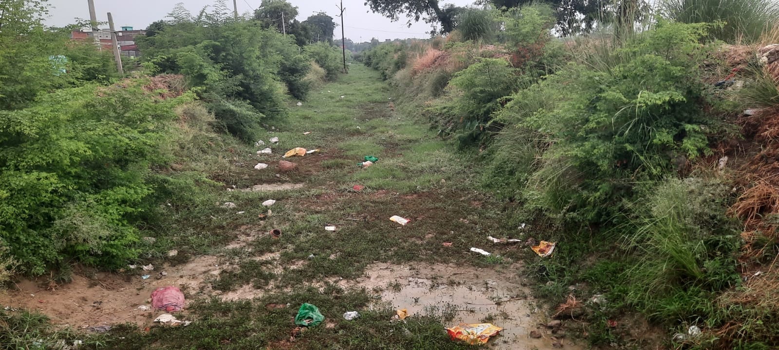 कुसुम्हा स्थित शारदा सहायक खंड खान 32 नहर में नही पहुंचा पानी।संवाद कुसुम्हा स्थित शारदा सहायक खंड खान 32 नहर में नही पहुंचा पानी।संवाद