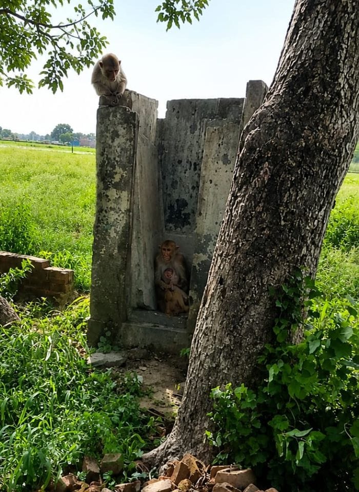 कुड़ा नरसिंहपुर में बदहाल पड़ा शौचालय। सवांद कुड़ा नरसिंहपुर में बदहाल पड़ा शौचालय। सवांद