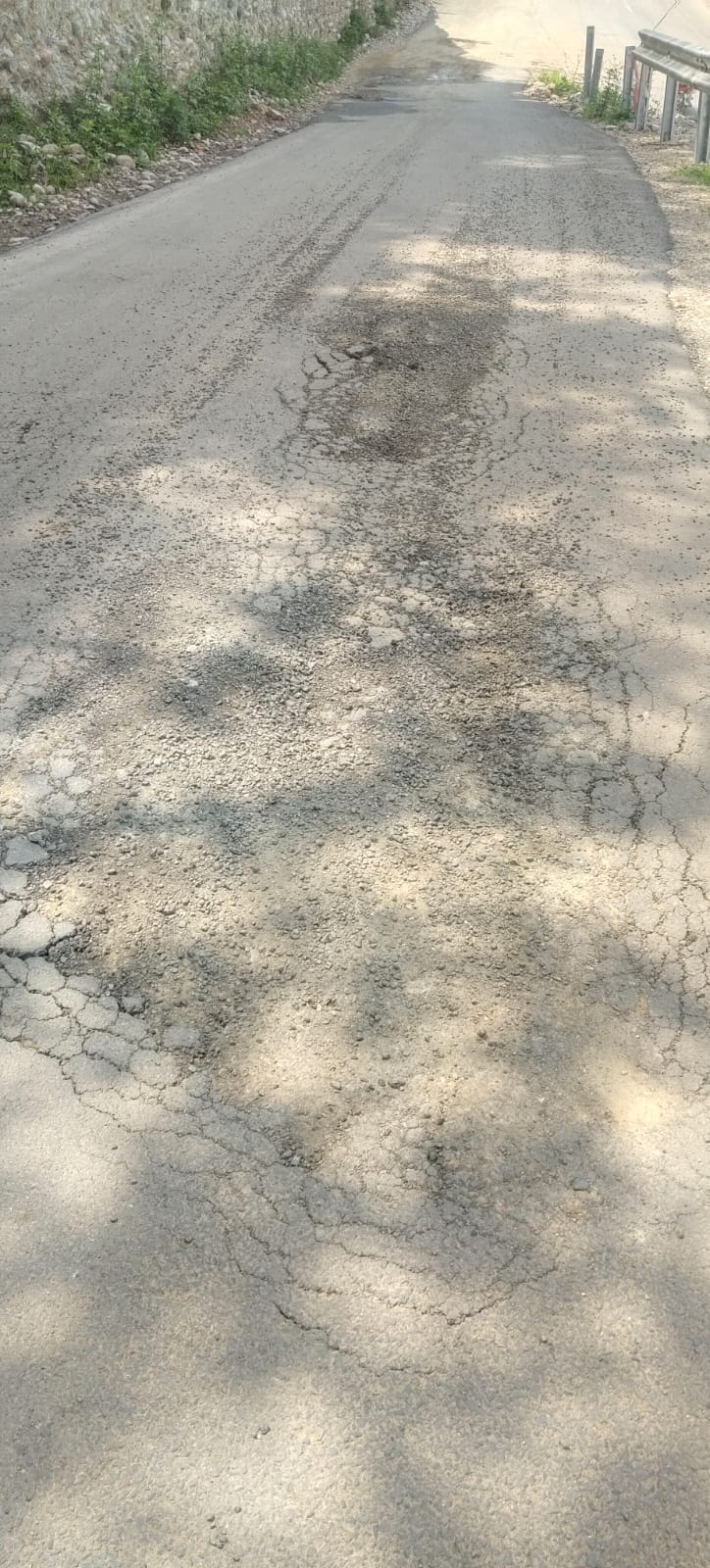 संजय, टौणी देवी