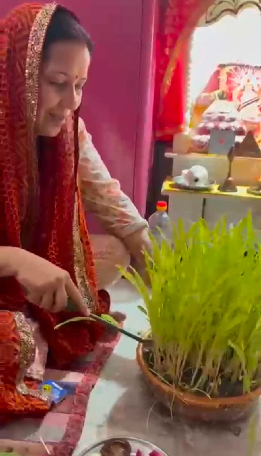 डॉ स्वाति भंडारी और अभिनव सिंह भंडारी हरेला मनाते हुए डॉ स्वाति भंडारी और अभिनव सिंह भंडारी हरेला मनाते हुए