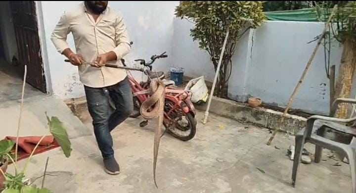 korba korba