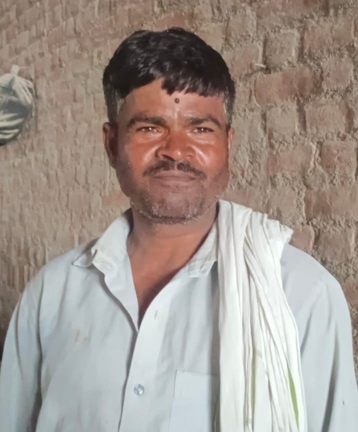 फोटो 4 घिरोर मंडी में आढ़त पर खरीदी जा रही मक्का। संवाद