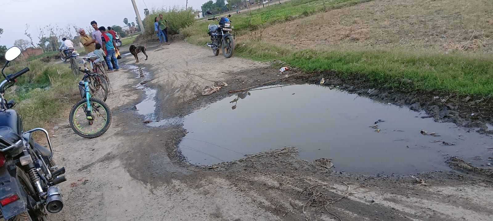 ग्राउंड रिपोर्ट की खबर में....महाहर धाम बाजार के पास 11 हजार हाइटेंशन बिजली के तार पर गिरा पेड़