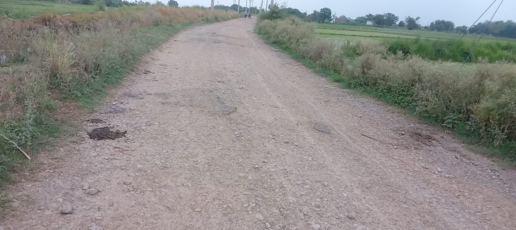 ग्राउंड रिपोर्ट की खबर में....महाहर धाम बाजार के पास 11 हजार हाइटेंशन बिजली के तार पर गिरा पेड़