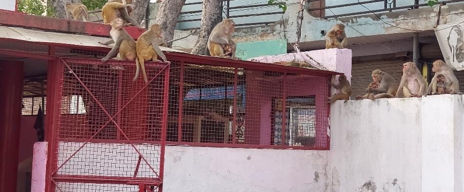 गौड़ यमुना सिटी में अंडरग्राउंड टैंक की सफाई के दौरान 60 मीटर रोड पर फैला पानी। संवाद गौड़ यमुना सिटी में अंडरग्राउंड टैंक की सफाई के दौरान 60 मीटर रोड पर फैला पानी। संवाद