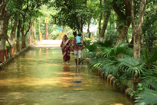 हिंडन नदी का जलस्तर बढ़ने से सिटी फोरेस्ट में हुआ जलभराव। संवाद