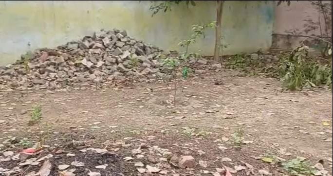कंदवा थाना के पास ग्रो बैग सहित फेंके गए पौधे। संवाद कंदवा थाना के पास ग्रो बैग सहित फेंके गए पौधे। संवाद