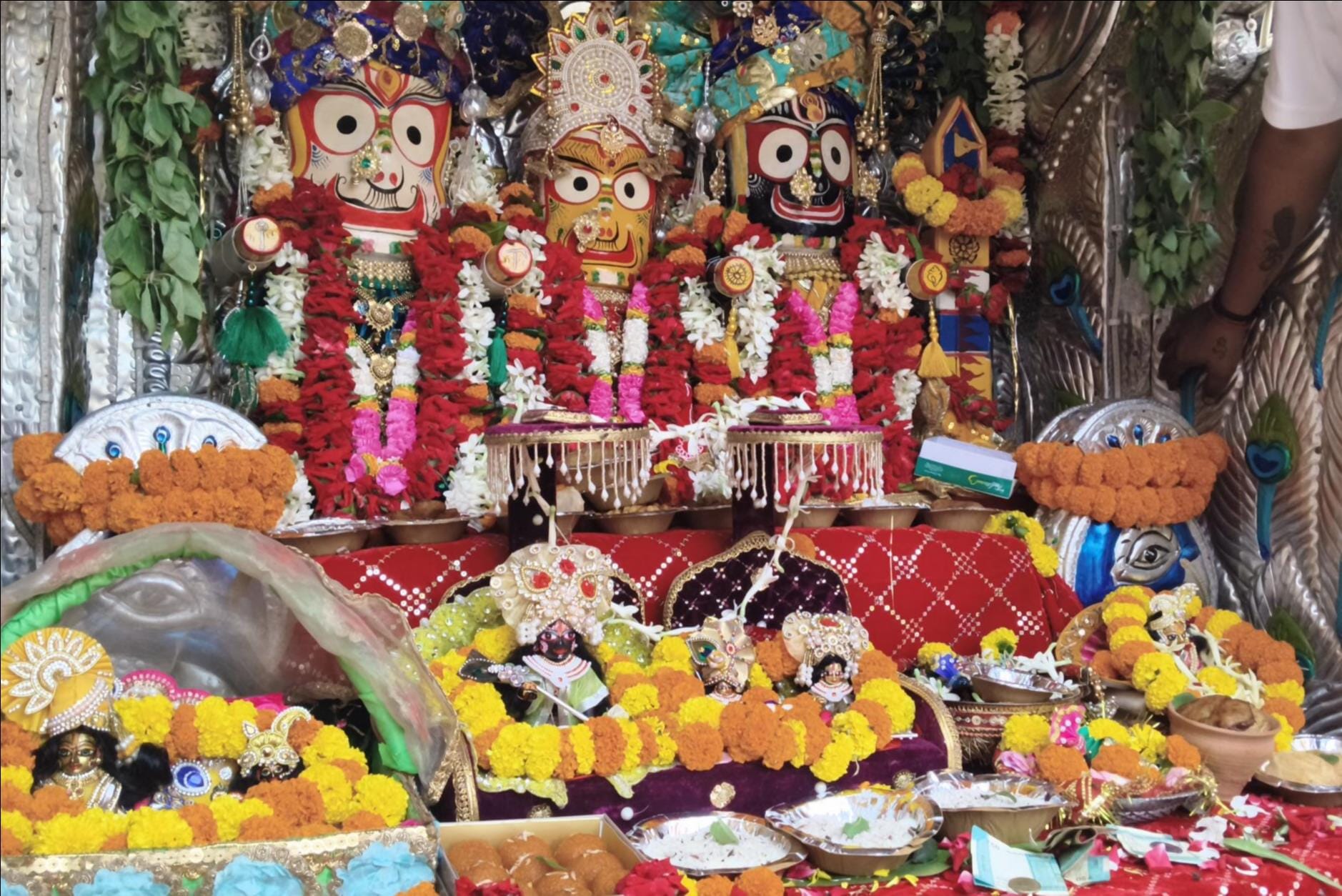 रॉबर्ट्सगंज में रंगीला कांवर संघ की ओर से भगवान जगन्नाथ  की शोभा यात्रा में शामिल श्रद्धालु। सं