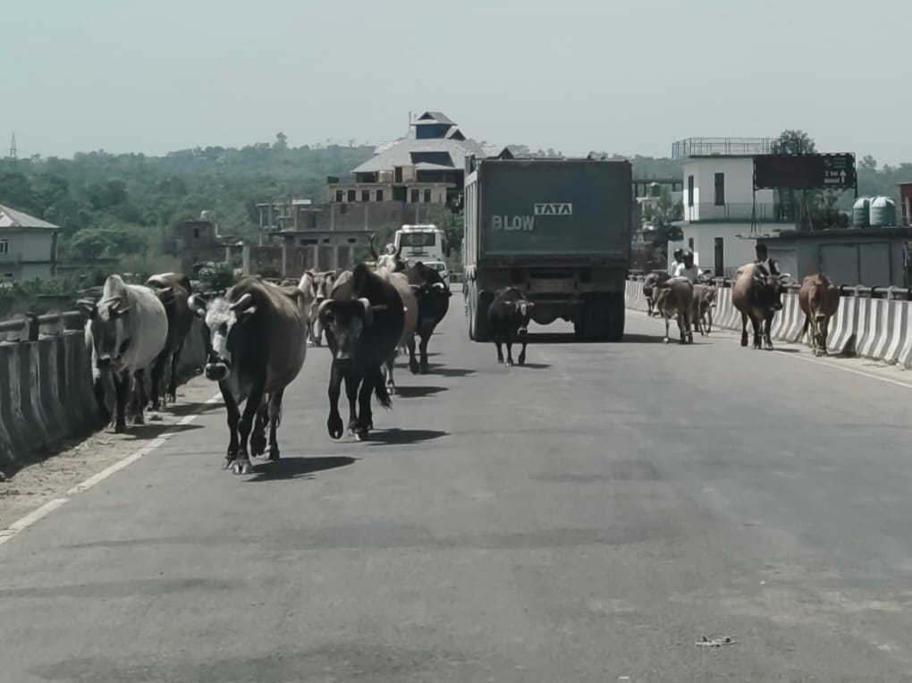 सुनील कुमार गांव कक्कड़