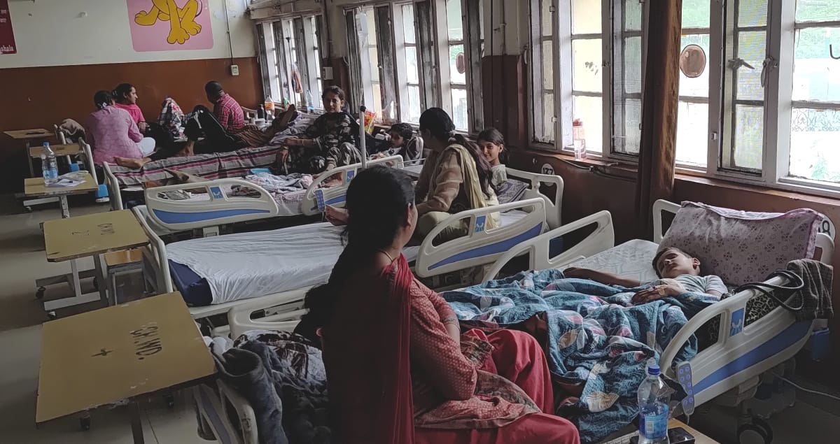 धर्मशाला अस्पताल के शिशु वार्ड में पीलिया के उपचार के लिए एडमिट एक परिवार के तीन बच्चे। अमर उज