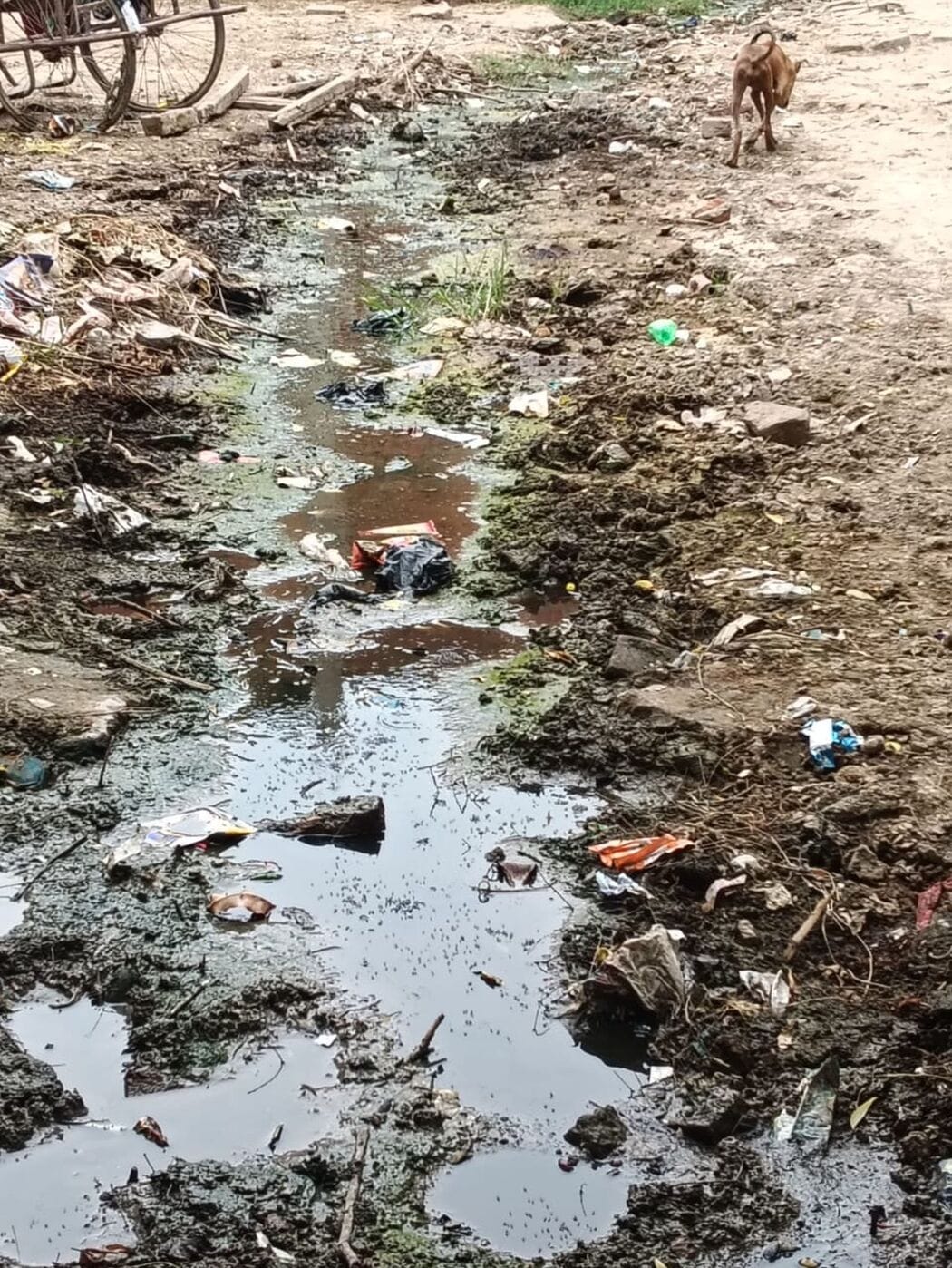 फोटो-09-मुख्य मार्ग पर जलभराव। संवाद फोटो-09-मुख्य मार्ग पर जलभराव। संवाद