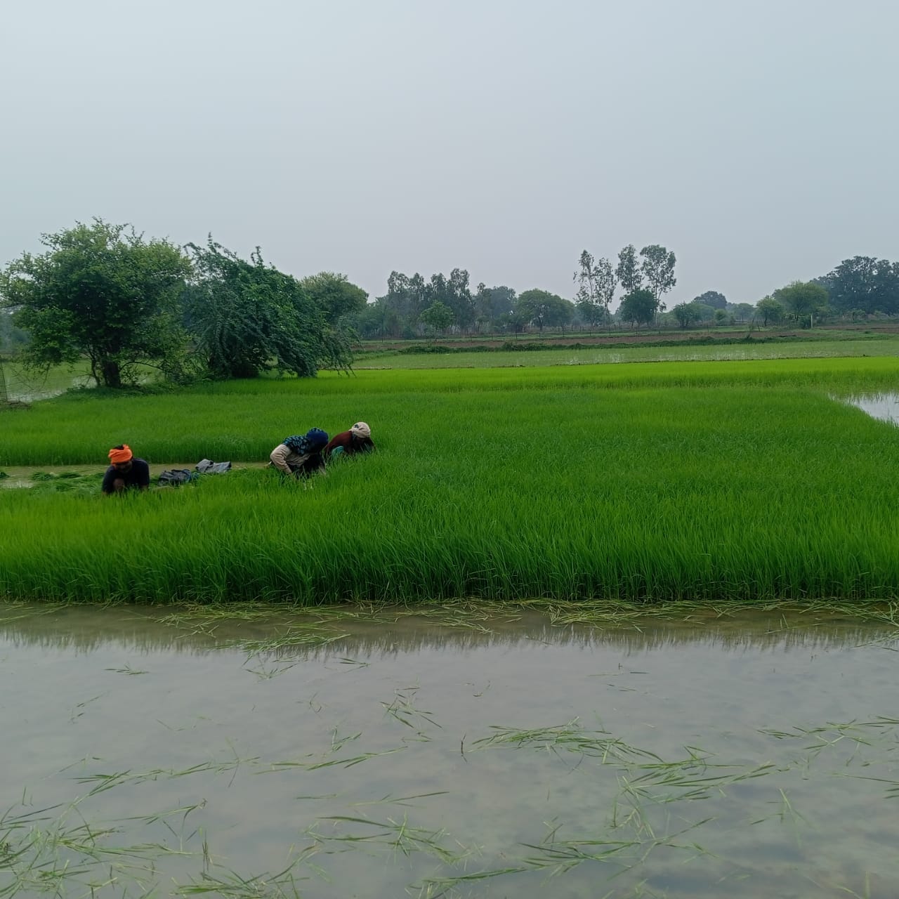 फोटो-10- शहर में बारिश के दौरान बस स्टैंड पर लोग बारिश से बचने के लिए परेशान नजर आए। संवाद