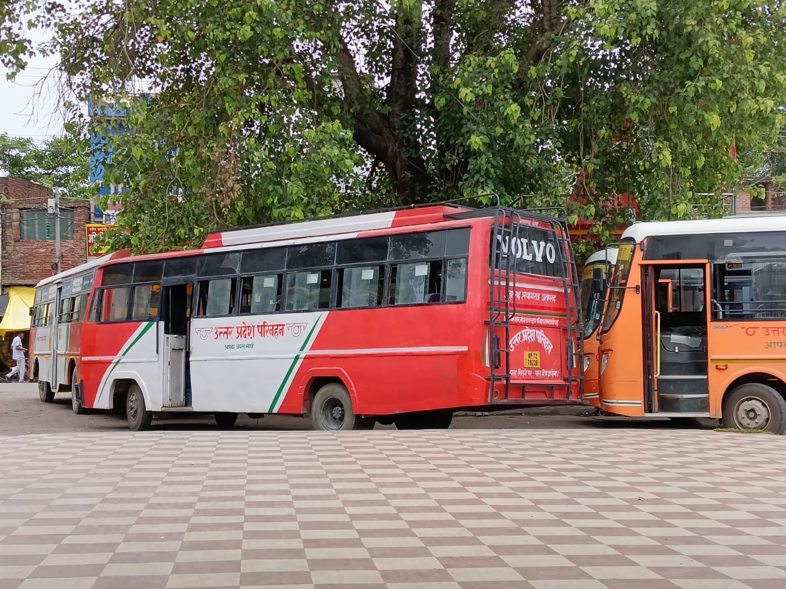 राजीव उपाध्याय राजीव उपाध्याय