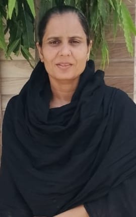 बिजली को ठीक करता हुए बिजली कर्मचारी। संवाद