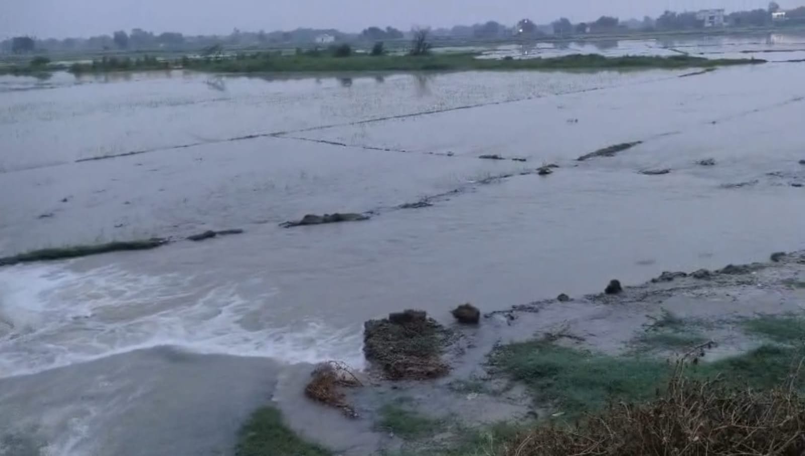 करनाईपुर क्षेत्र के बादलपुर गांव में शारदा सहायक नहर टूटने पर मौके पर पहुंचे सिंचाई विभाग के अध करनाईपुर क्षेत्र के बादलपुर गांव में शारदा सहायक नहर टूटने पर मौके पर पहुंचे सिंचाई विभाग के अध