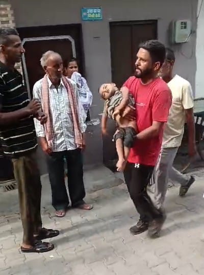 पलक। फाइल फोटो पलक। फाइल फोटो
