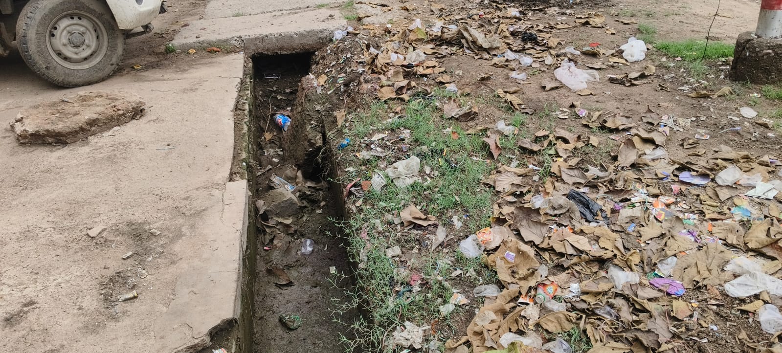 फोटो-5- गल्ले की आढ़त पर अनाज की सफाई करते मजदूर। संवाद