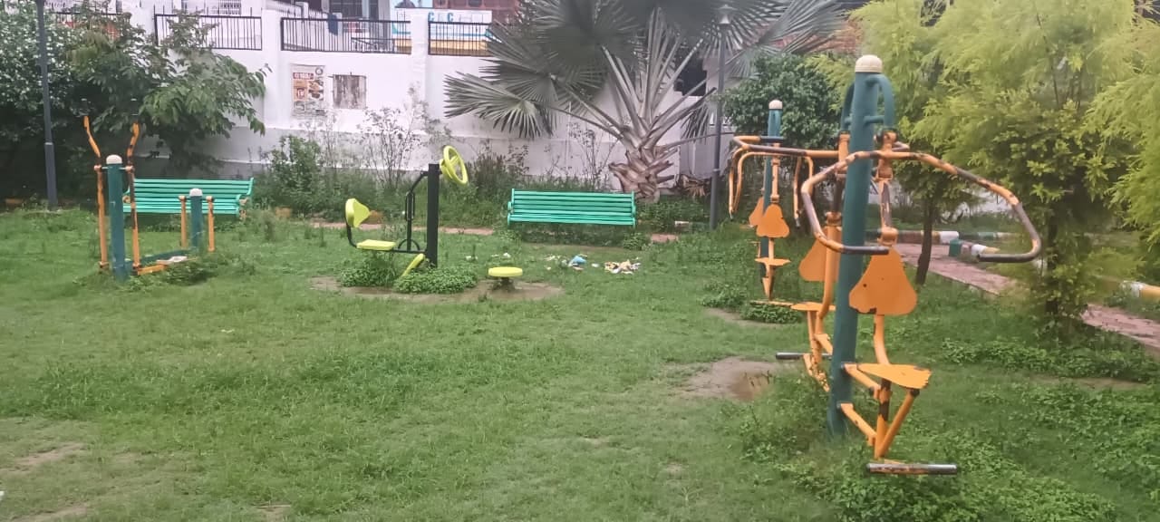 महाराणा प्रताप पार्क पैदल पथ के साथ उगी घास। संवाद। महाराणा प्रताप पार्क पैदल पथ के साथ उगी घास। संवाद।